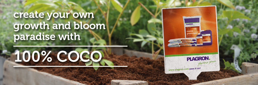 plagron 100% coco кокосовый субстрат
